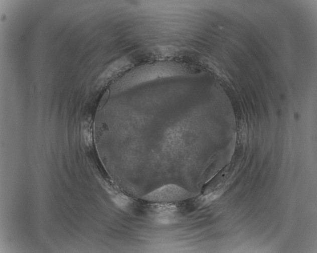 X0000067390719200604031033