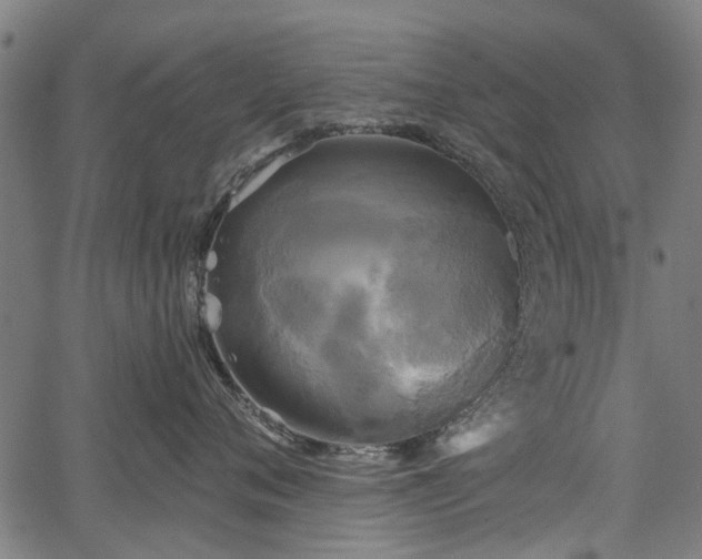 X0000067390720200604031032