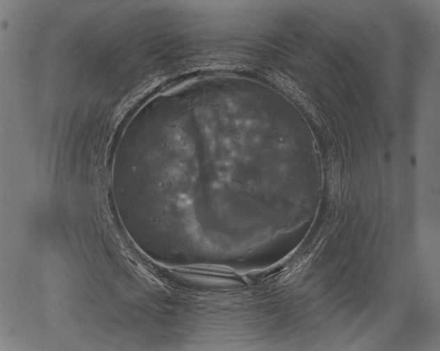 X0000067390721200604031032