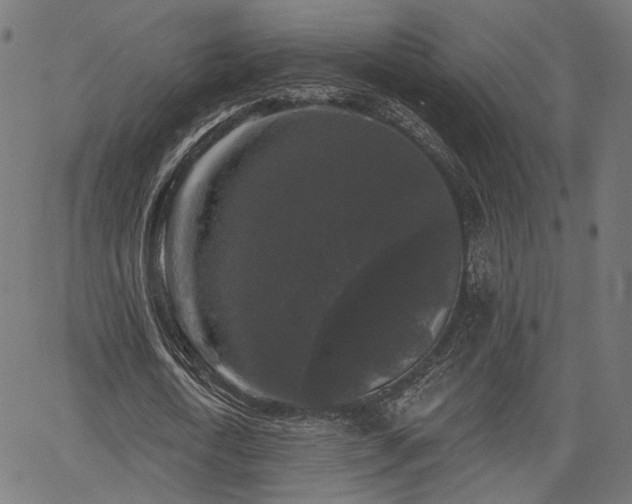 X0000067390722200604031032