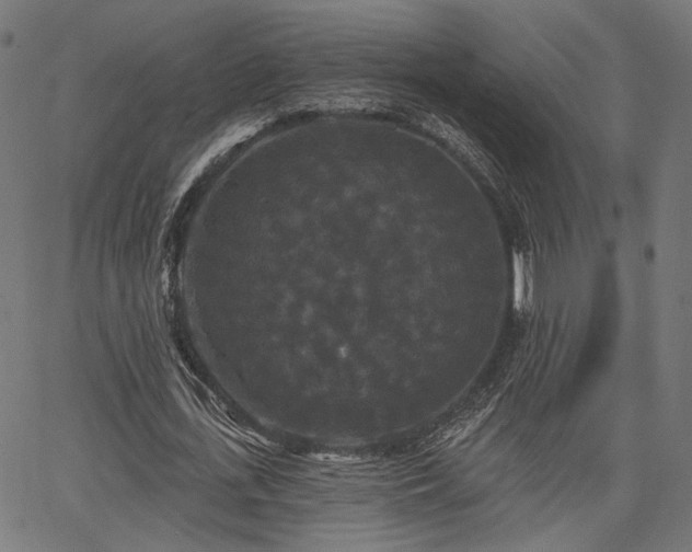 X0000067390723200604031032