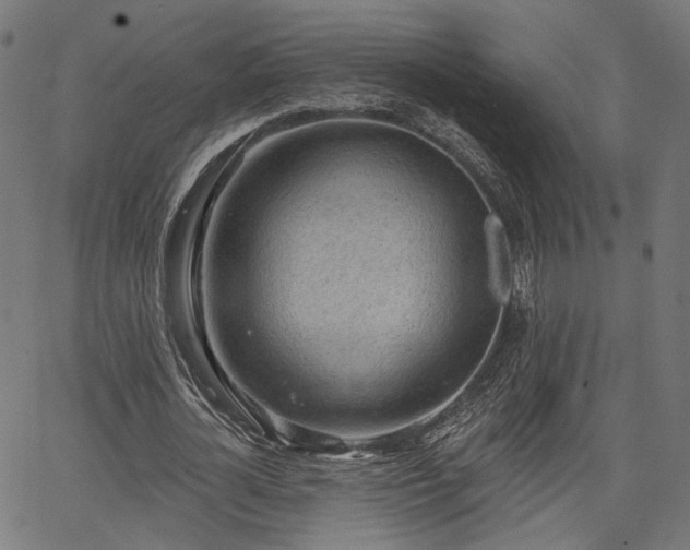 X0000067390724200604031032