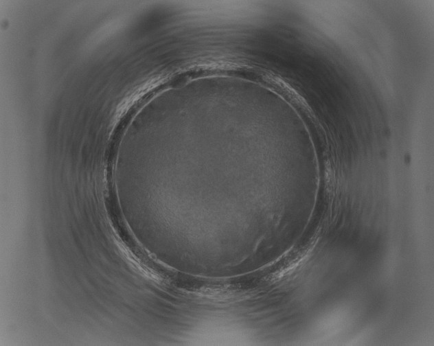 X0000067390725200604031032