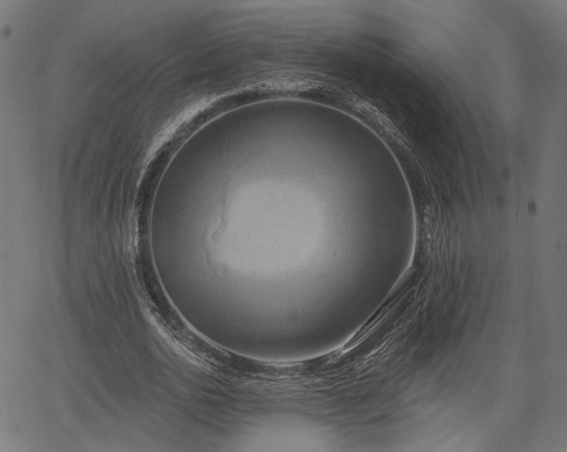 X0000067390726200604031032