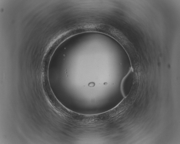 X0000067390728200604031032