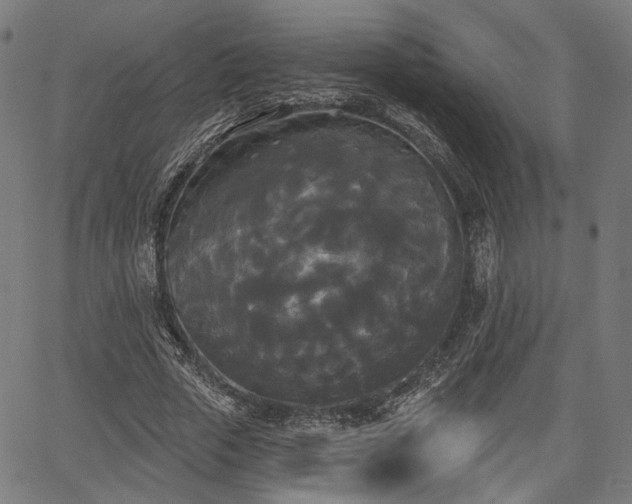 X0000067390729200604031032