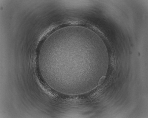 X0000067390730200604031032