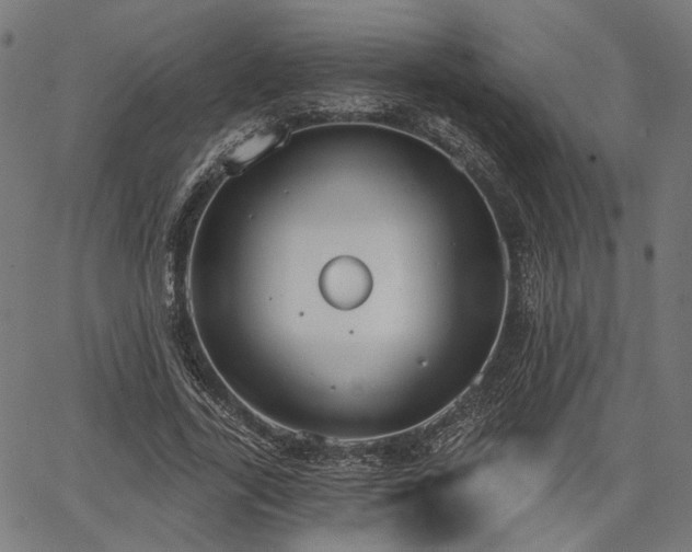 X0000067390731200604031032