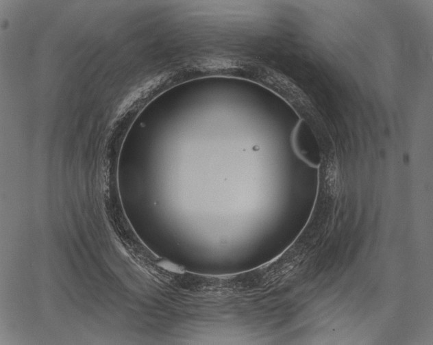 X0000067390732200604031032