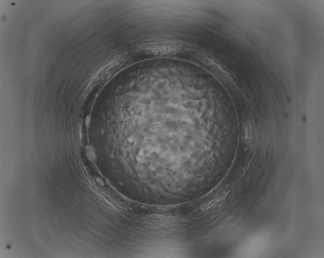 X0000067390733200604031032