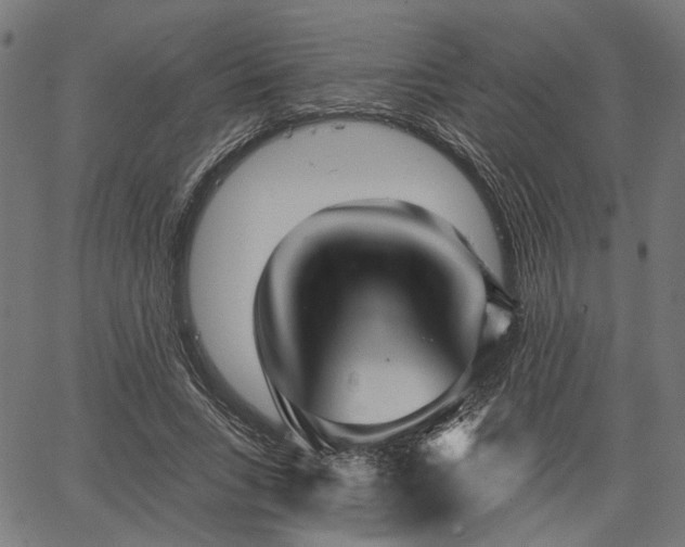 X0000067390735200604031032