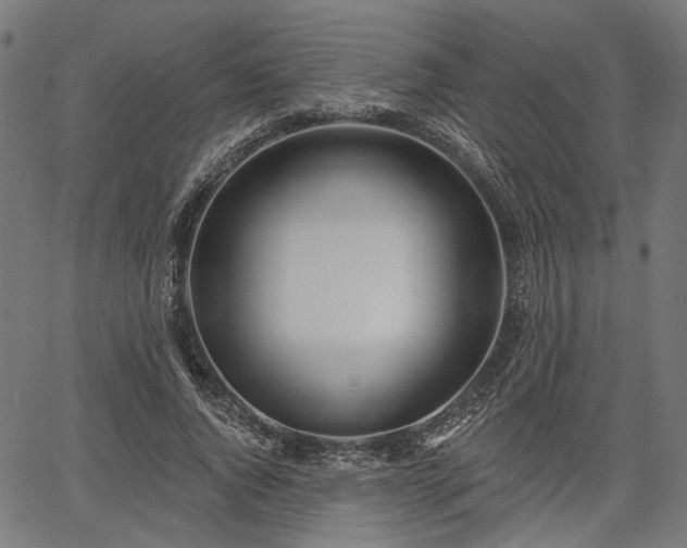 X0000067390736200604031032