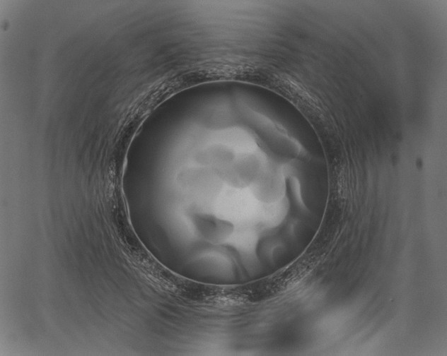 X0000067390737200604031032