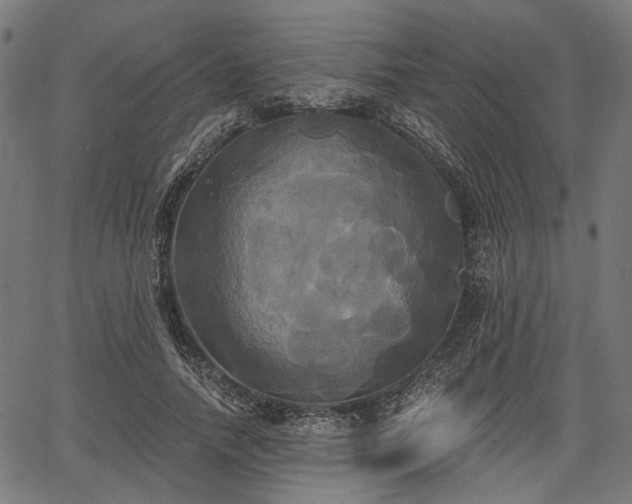 X0000067390738200604031032