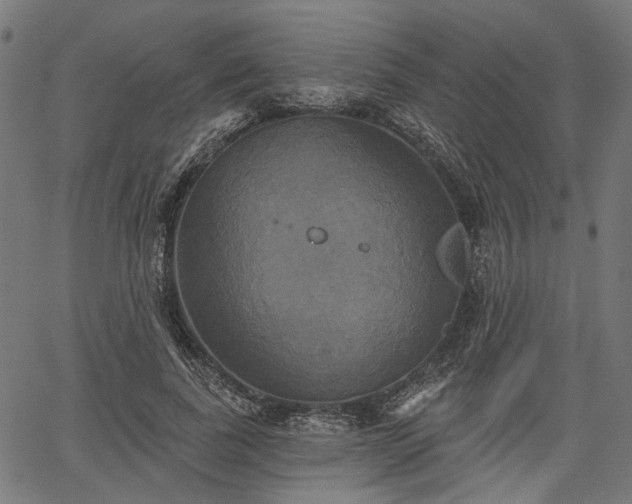 X0000067390739200604031032