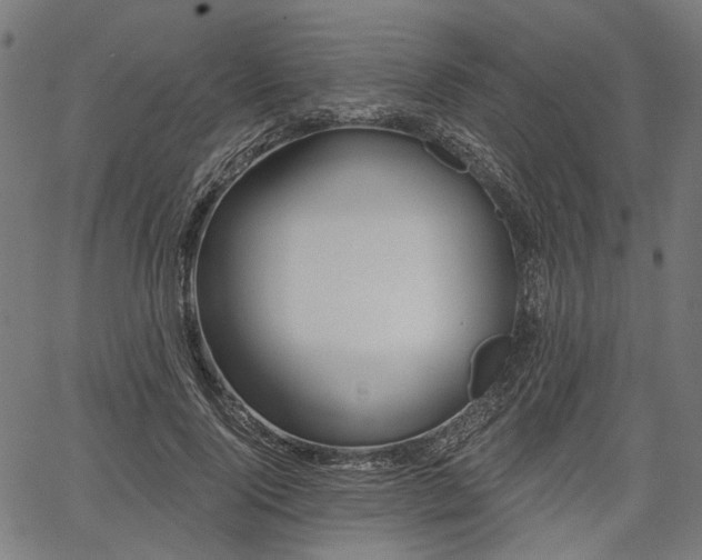 X0000067390740200604031032