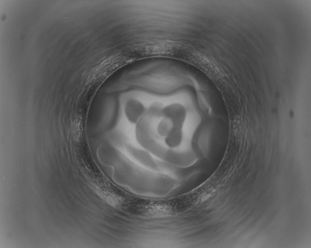 X0000067390741200604031032