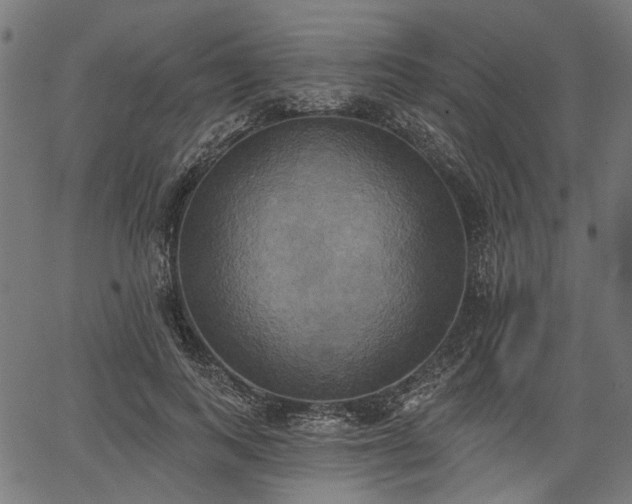 X0000067390743200604031032