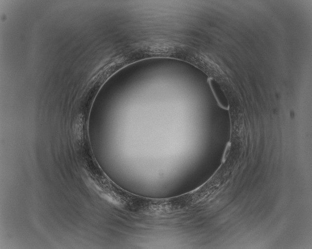 X0000067390744200604031032