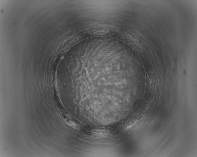 X0000067390745200604031032