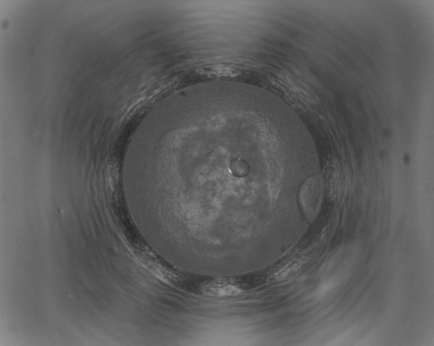 X0000067390747200604031032