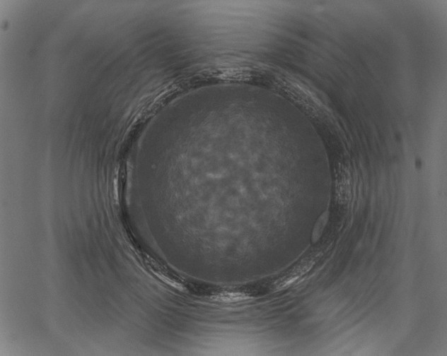 X0000067390748200604031032