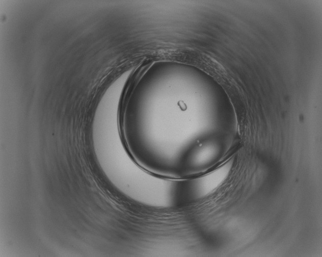 X0000067390750200604031032