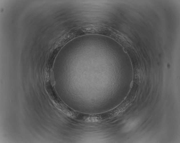 X0000067390751200604031032