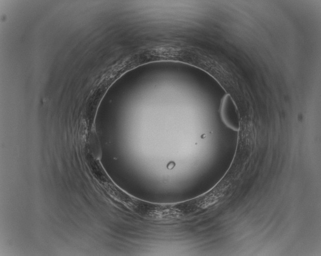 X0000067390752200604031032