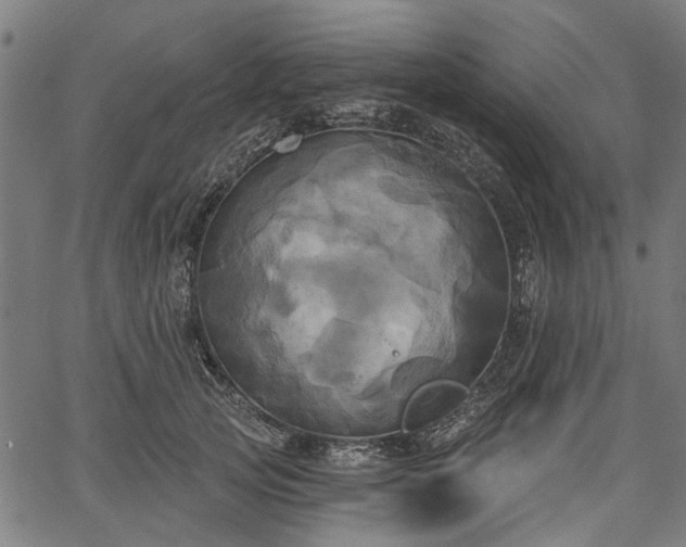 X0000067390753200604031032