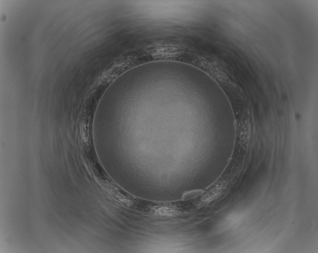 X0000067390755200604031032