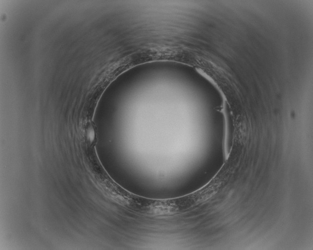 X0000067390756200604031032