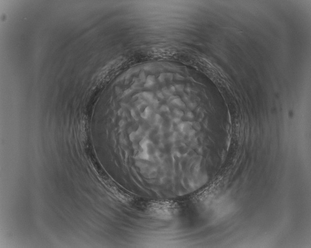 X0000067390757200604031032