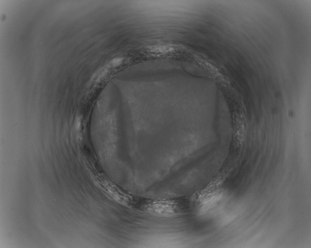 X0000067390758200604031032