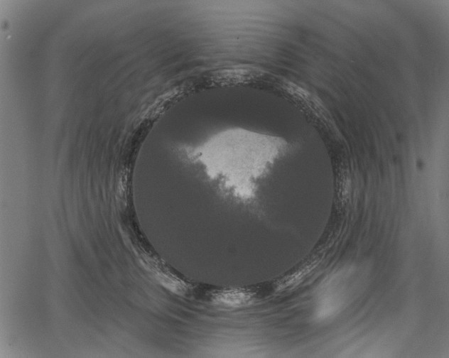 X0000067390759200604031032