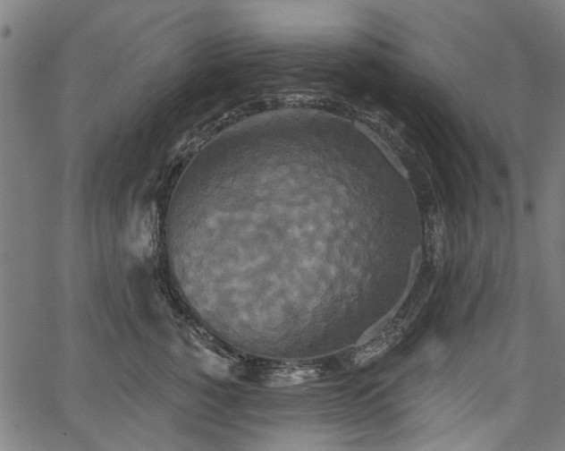 X0000067390760200604031032