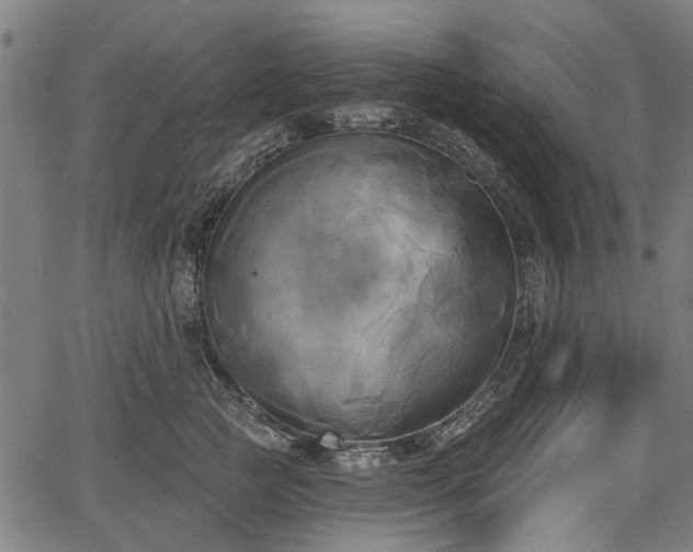 X0000067390761200604031032