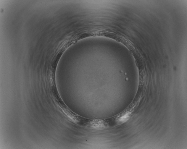 X0000067390762200604031032