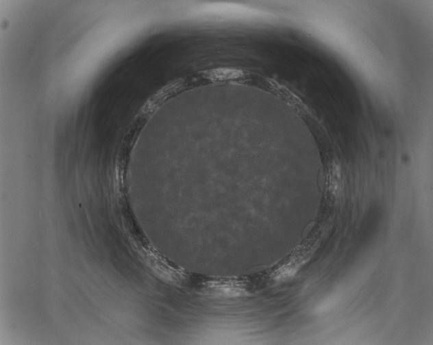 X0000067390763200604031032