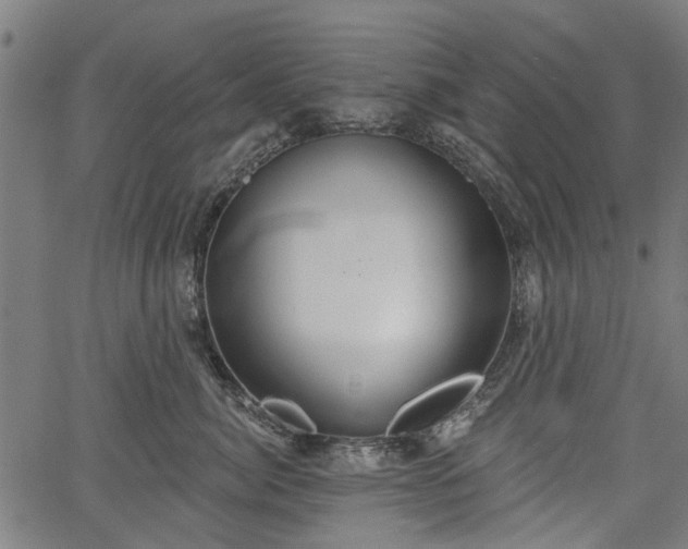 X0000067390764200604031032