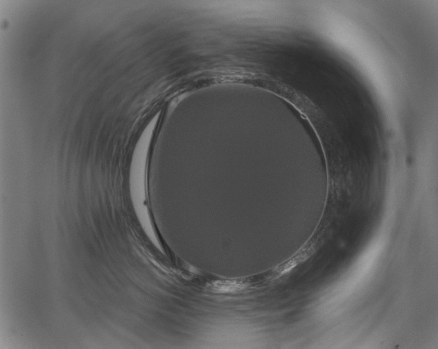 X0000067390766200604031032