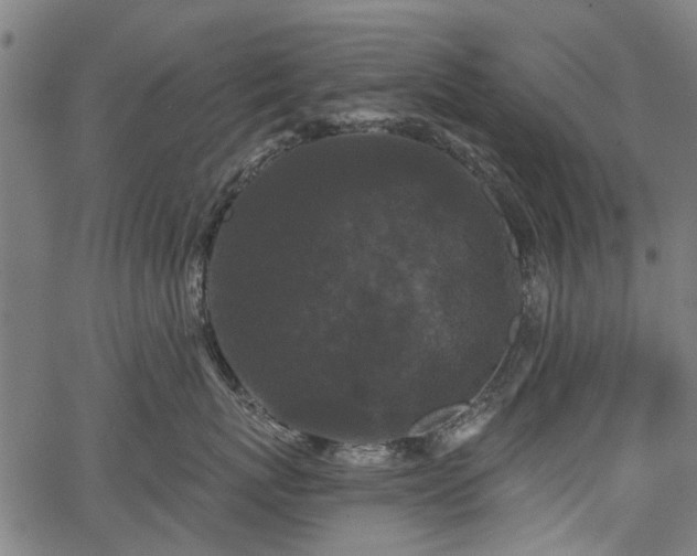 X0000067390767200604031032