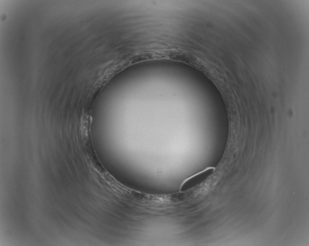 X0000067390768200604031032