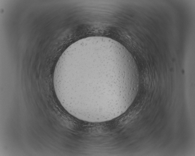 X0000067390769200604031032