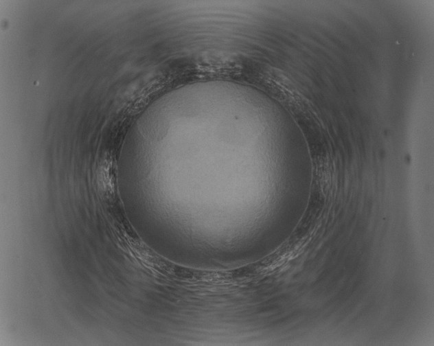 X0000067390770200604031032