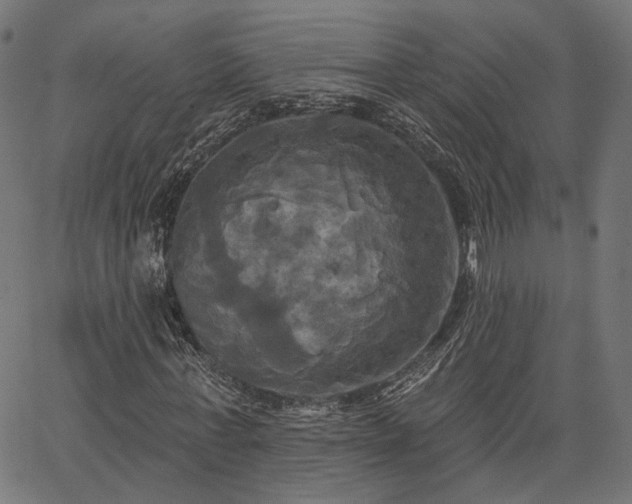 X0000067390771200604031032