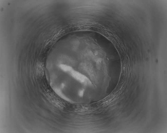 X0000067390772200604031032