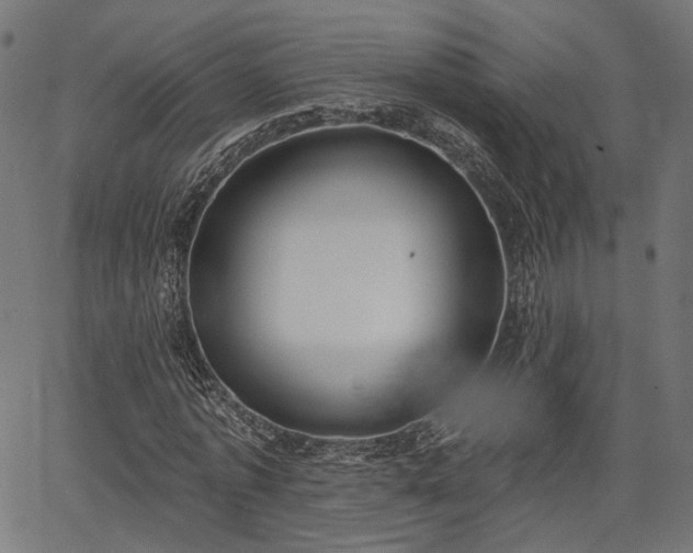 X0000067390773200604031032