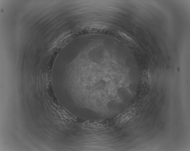 X0000067390774200604031032