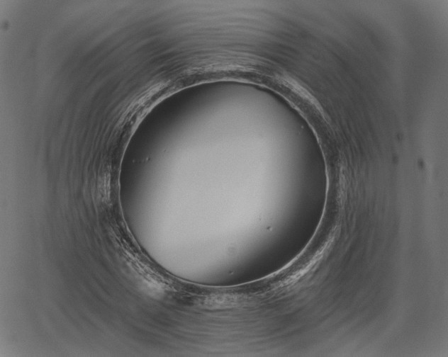 X0000067390777200604031032